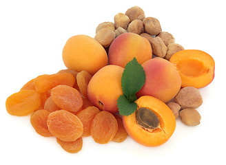 Image showing Apricot fruit