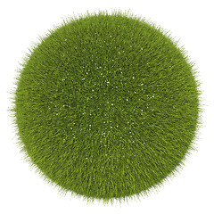 Image showing World of grass and flowers: green globe isolated