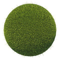 Image showing Eco and environment: green fresh grass globe isolated