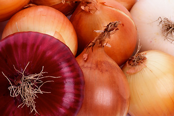 Image showing Onion Background