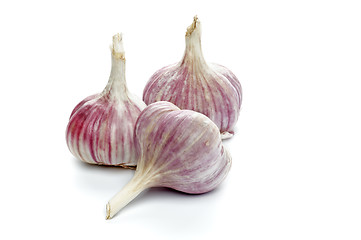 Image showing Garlic