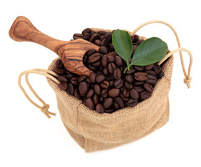 Image showing  Coffee Beans