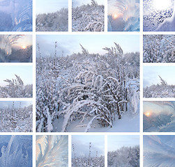 Image showing Winter collage