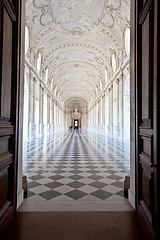 Image showing Italy - Royal Palace: Galleria di Diana, Venaria