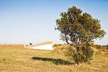 Image showing Exterior of Etruscan tomb