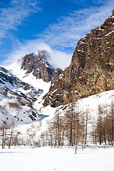 Image showing Sunny day on Alps