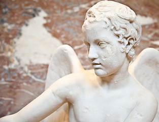 Image showing Angel