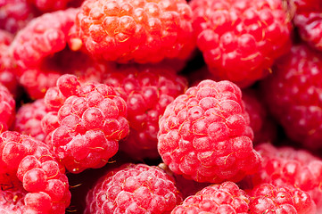 Image showing sweet raspberry fruit