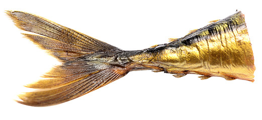 Image showing fish tail