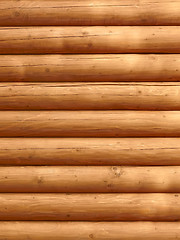 Image showing Parallel wooden logs