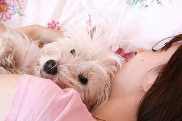 Image showing Dog sleeping on bed 