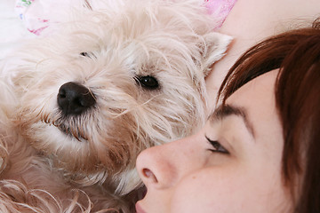 Image showing Dog sleeping on bed 