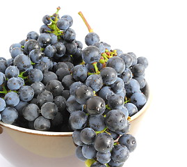 Image showing grapes over white