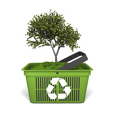 Image showing Tree in green basket