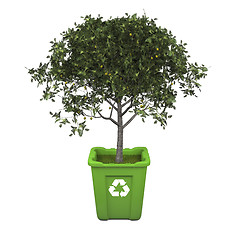 Image showing Fruit tree in recycle bin