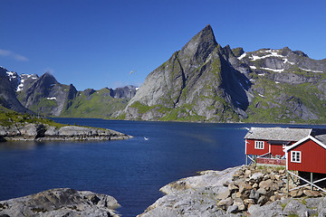 Image showing Fjord on Lofoten islands