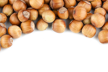 Image showing Hazelnuts pile isolated on white background 