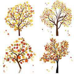 Image showing Set of four autumn tree