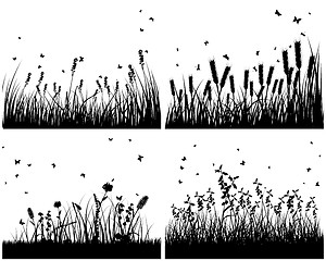 Image showing meadow silhouettes