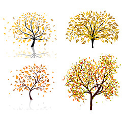 Image showing Set of four autumn tree