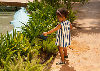 Image showing Gardening