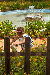 Image showing Watering the plants