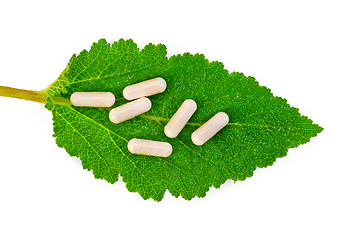 Image showing Capsules beige on sage leaf