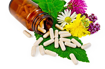 Image showing Capsules beige on sage leaf with flowers