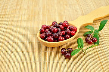 Image showing Lingonberry in a spoon on a bamboo mat