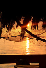 Image showing Wonderful sea sunset with palm tree silhouettes and fishing nets