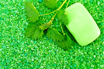 Image showing Salt of the green with soap and nettles