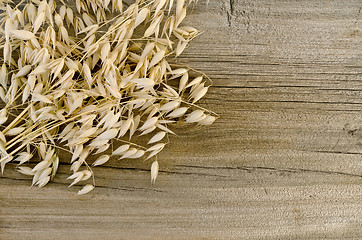 Image showing Stalks of oats on an old wooden board