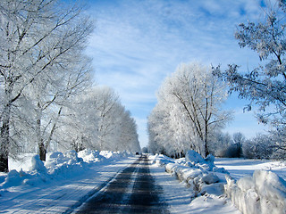 Image showing Winter landscape in a forest