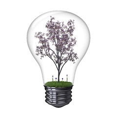 Image showing Blooming tree inside lightbulb