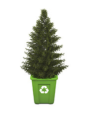 Image showing Tree in recycle bin