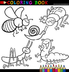 Image showing Insects and bugs for Coloring Book or Page