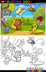 Image showing Insects and bugs for Coloring Book or Page