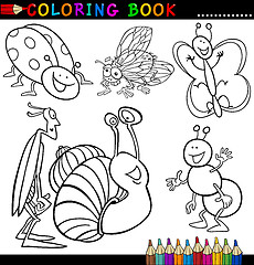 Image showing Insects and bugs for Coloring Book or Page