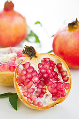 Image showing Pomegranate