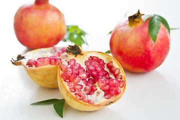 Image showing Pomegranate