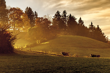 Image showing golden light