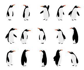 Image showing Penguins background