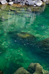 Image showing Altai river Kumir