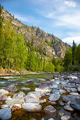 Image showing Altai river Kumir