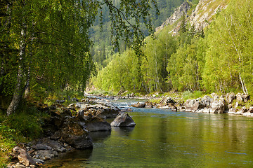 Image showing Altai river Kumir