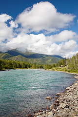 Image showing Altai river Katun