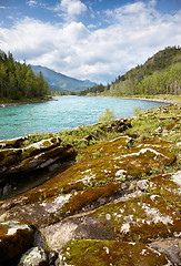 Image showing Altai river Katun