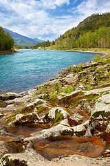 Image showing Altai river Katun