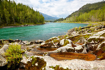 Image showing Altai river Katun