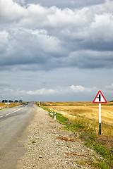 Image showing Altai road